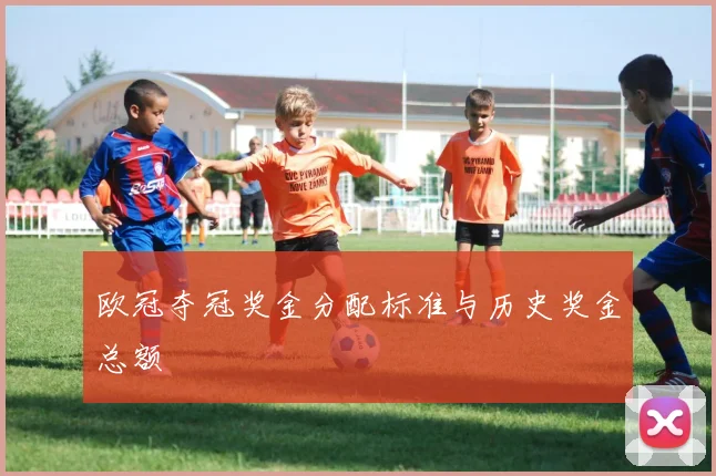 欧冠夺冠奖金分配标准与历史奖金总额