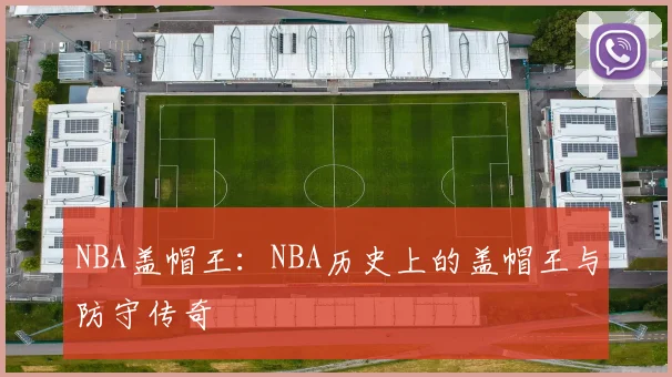 NBA盖帽王：NBA历史上的盖帽王与防守传奇