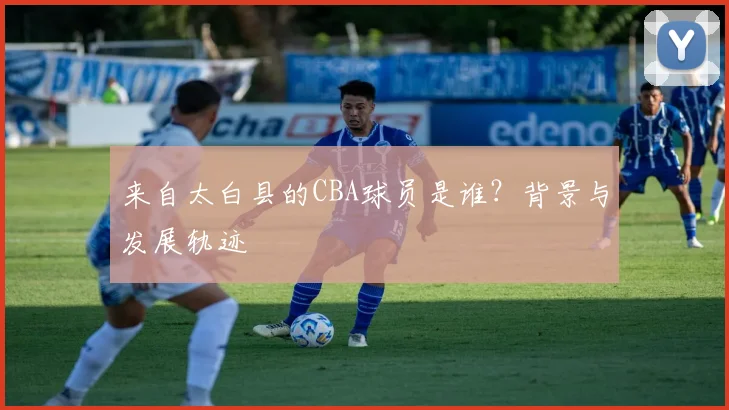 来自太白县的CBA球员是谁？背景与发展轨迹