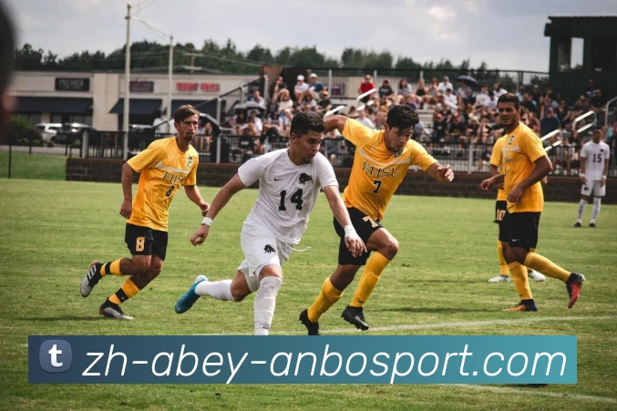 安博体育APP 高清赛事图